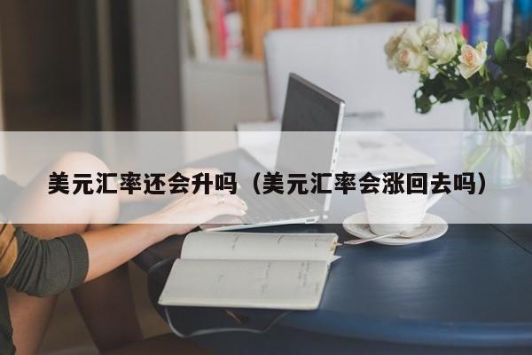 美元汇率还会升吗（美元汇率会涨回去吗）