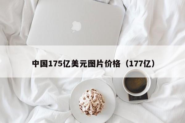 中国175亿美元图片价格（177亿）