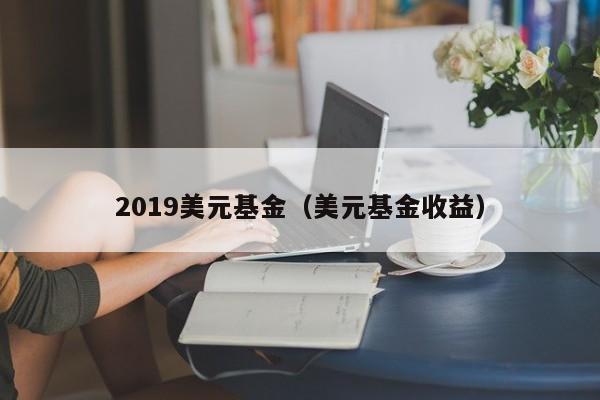 2019美元基金（美元基金收益）