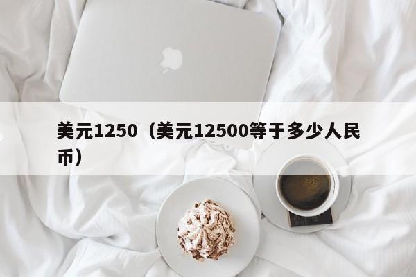 美元1250（美元12500等于多少人民币）