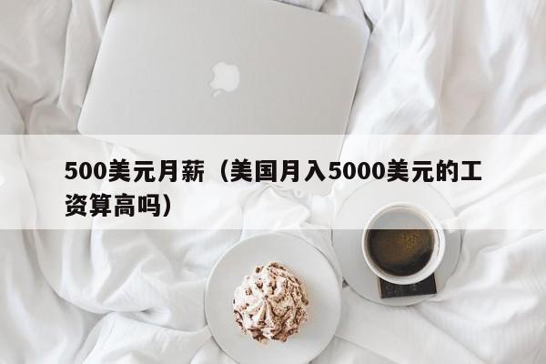500美元月薪（美国月入5000美元的工资算高吗）