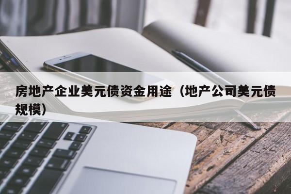 房地产企业美元债资金用途（地产公司美元债规模）