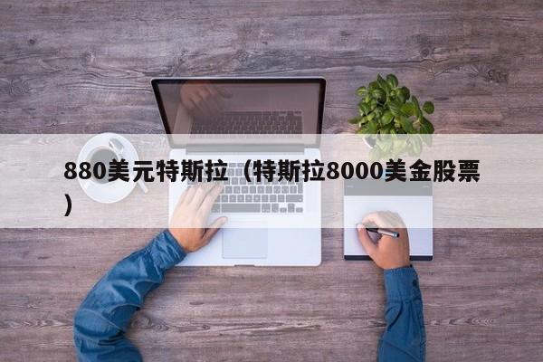 880美元特斯拉（特斯拉8000美金股票）