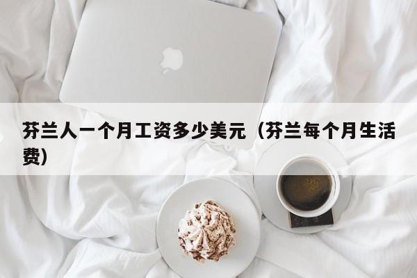 芬兰人一个月工资多少美元（芬兰每个月生活费）
