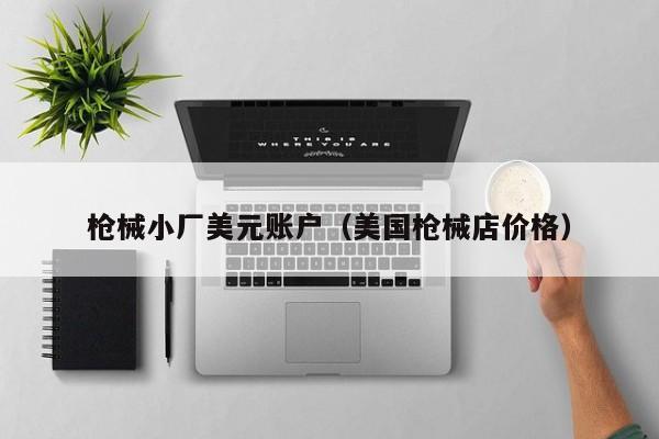 枪械小厂美元账户（美国枪械店价格）