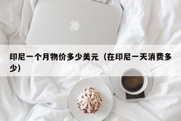 印尼一个月物价多少美元（在印尼一天消费多少）