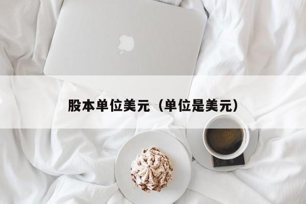 股本单位美元（单位是美元）