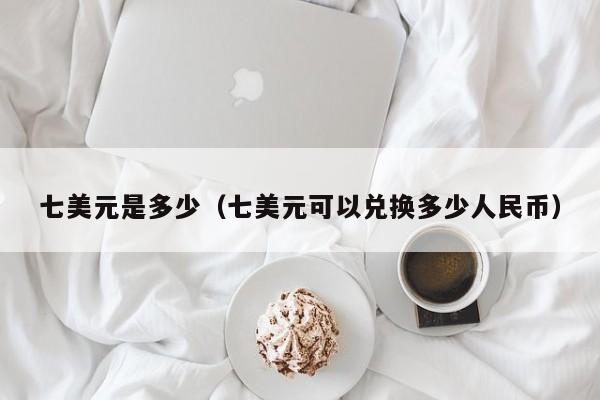 七美元是多少（七美元可以兑换多少人民币）