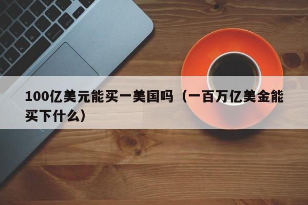 100亿美元能买一美国吗（一百万亿美金能买下什么）