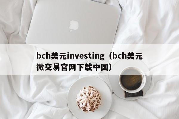 bch美元investing（bch美元微交易官网下载中国）
