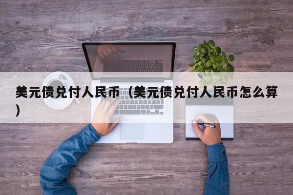 美元债兑付人民币（美元债兑付人民币怎么算）