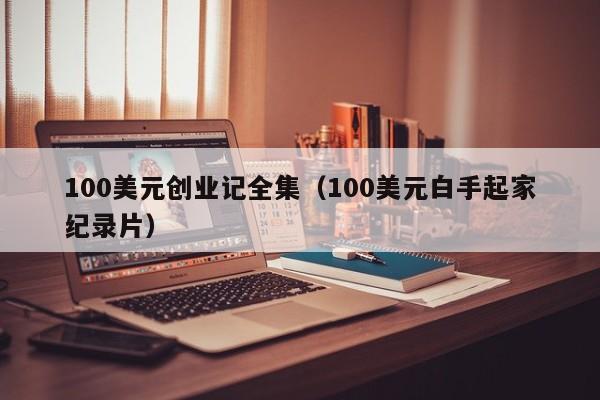 100美元创业记全集（100美元白手起家纪录片）