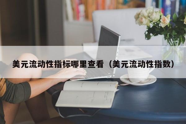 美元流动性指标哪里查看（美元流动性指数）