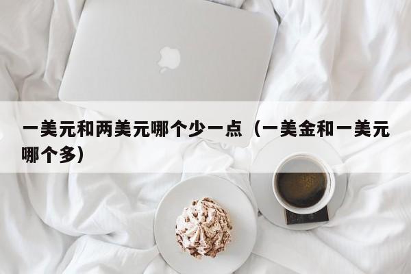 一美元和两美元哪个少一点（一美金和一美元哪个多）