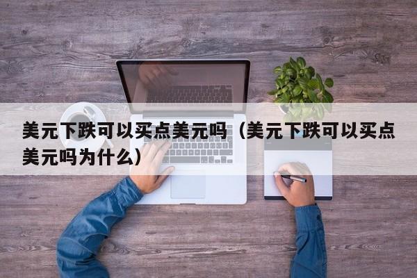美元下跌可以买点美元吗（美元下跌可以买点美元吗为什么）