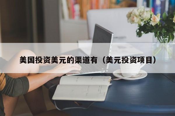 美国投资美元的渠道有（美元投资项目）