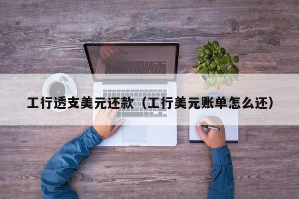 工行透支美元还款（工行美元账单怎么还）