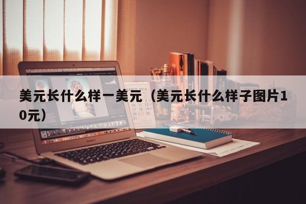 美元长什么样一美元（美元长什么样子图片10元）
