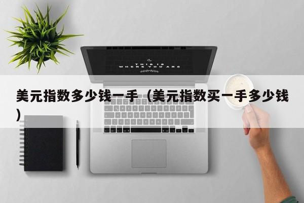 美元指数多少钱一手（美元指数买一手多少钱）