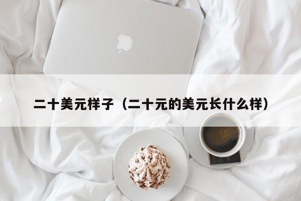 二十美元样子（二十元的美元长什么样）