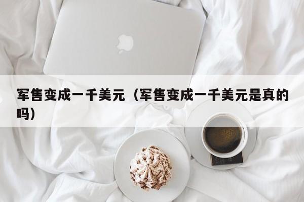 军售变成一千美元（军售变成一千美元是真的吗）
