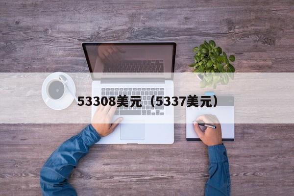 53308美元（5337美元）