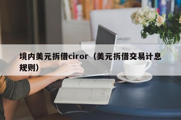 境内美元拆借ciror（美元拆借交易计息规则）