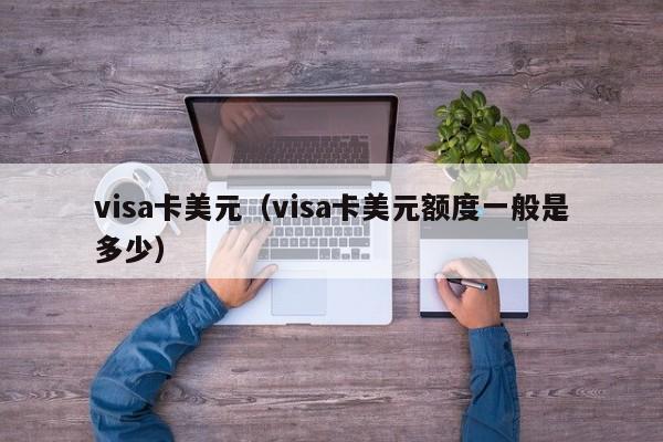 visa卡美元（visa卡美元额度一般是多少）