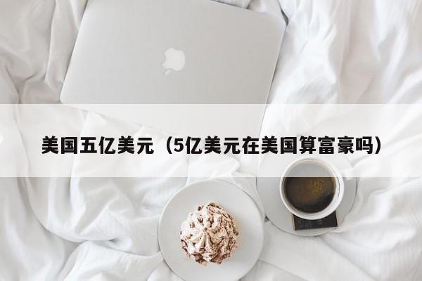 美国五亿美元（5亿美元在美国算富豪吗）