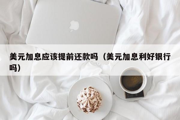 美元加息应该提前还款吗（美元加息利好银行吗）