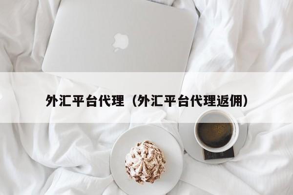 外汇平台代理（外汇平台代理返佣）