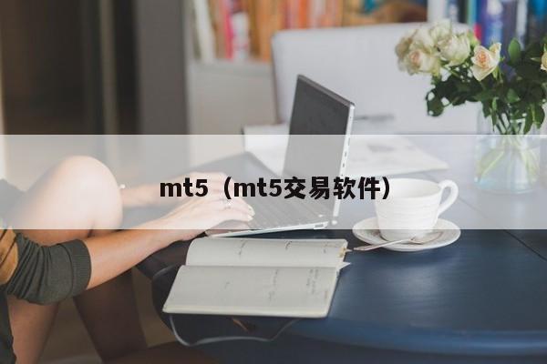 mt5（mt5交易软件）