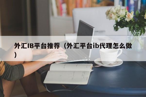 外汇IB平台推荐（外汇平台ib代理怎么做）