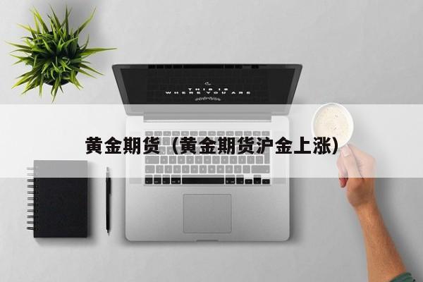 黄金期货（黄金期货沪金上涨）