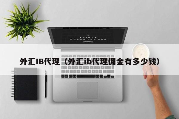 外汇IB代理（外汇ib代理佣金有多少钱）