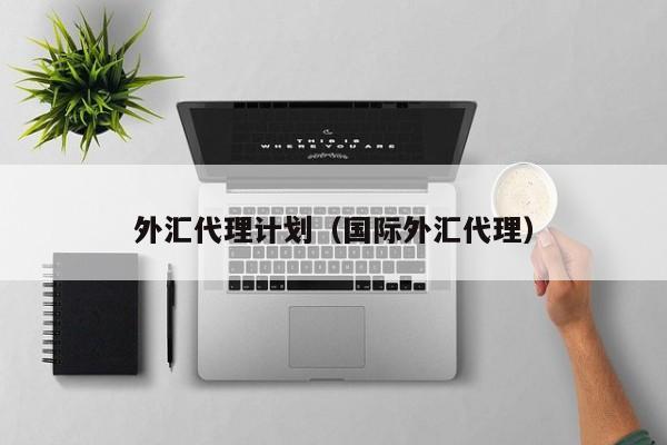 外汇代理计划（国际外汇代理）